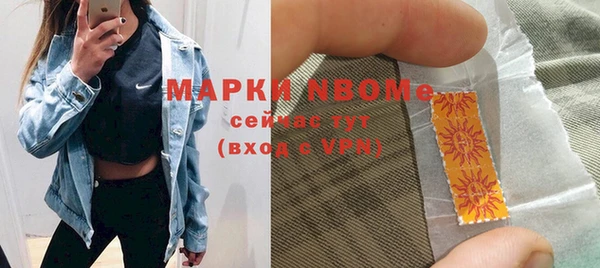 индика Абинск
