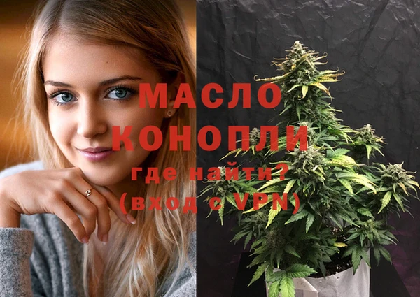 индика Абинск