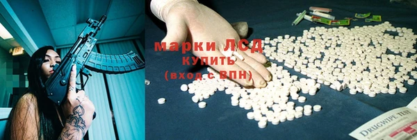 индика Абинск