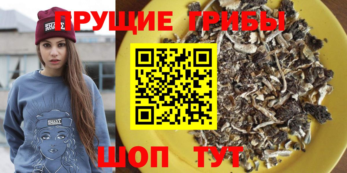Хабаровск  Псилоцибиновые грибы мицелий  Вход с VPN 
